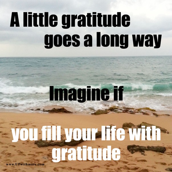 Gratitude 1